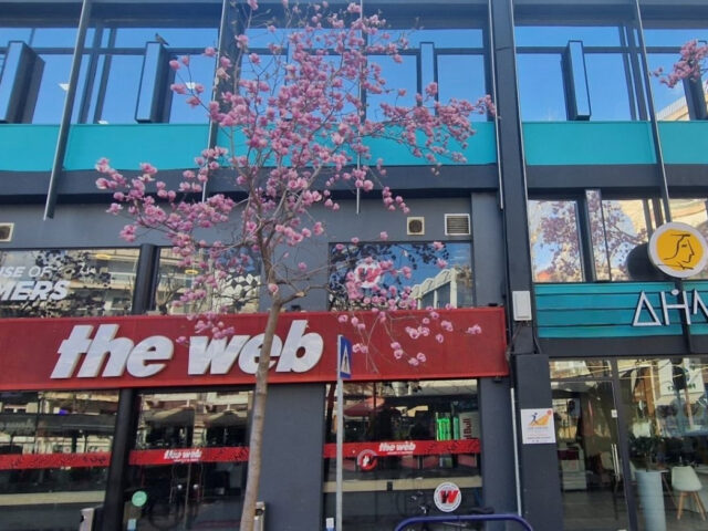 ΔΗΜΗΤΡΑ Εκπαιδευτικός Οργανισμός | ΚΔΒΜ, Λάρισα - Παράρτημα